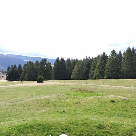 La Ferme Du Levant Gérardmer Eksteriør bilde