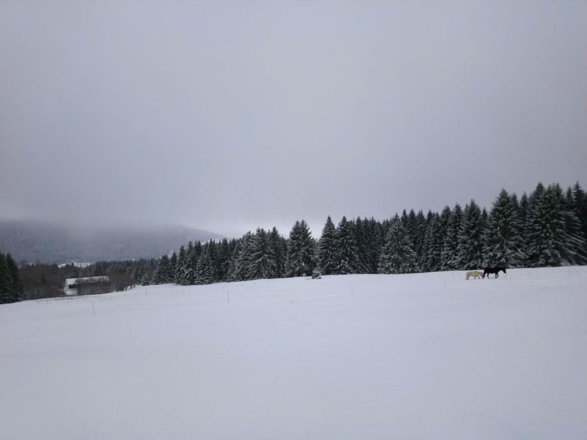 La Ferme Du Levant Gérardmer Eksteriør bilde
