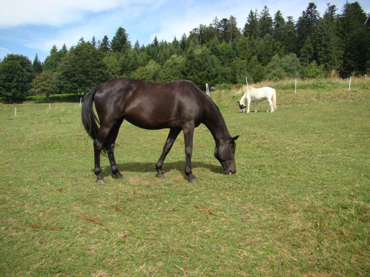 La Ferme Du Levant Gérardmer Eksteriør bilde